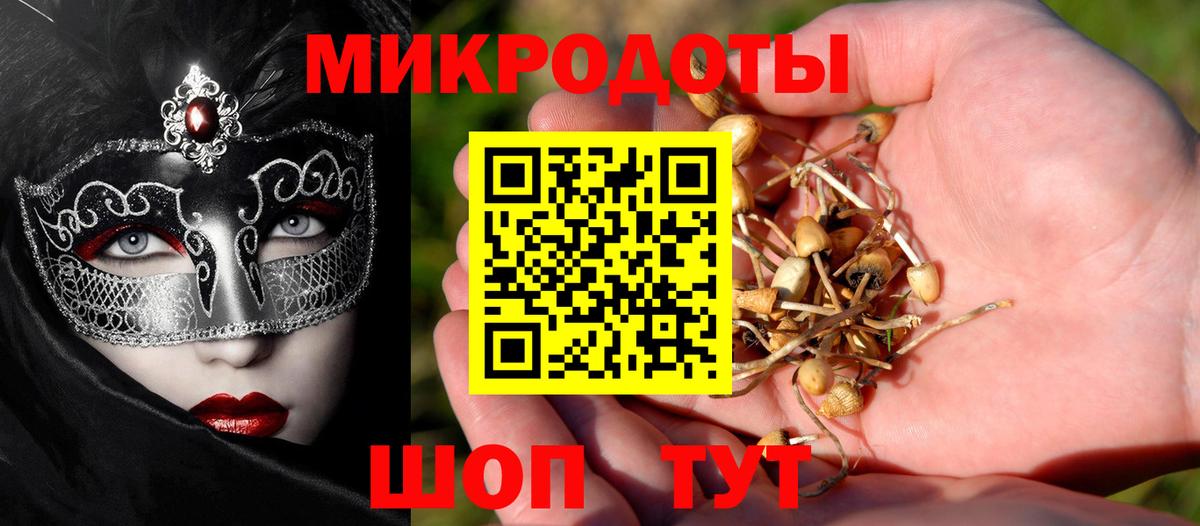 Псилоцибиновые грибы Psilocybe Анапа